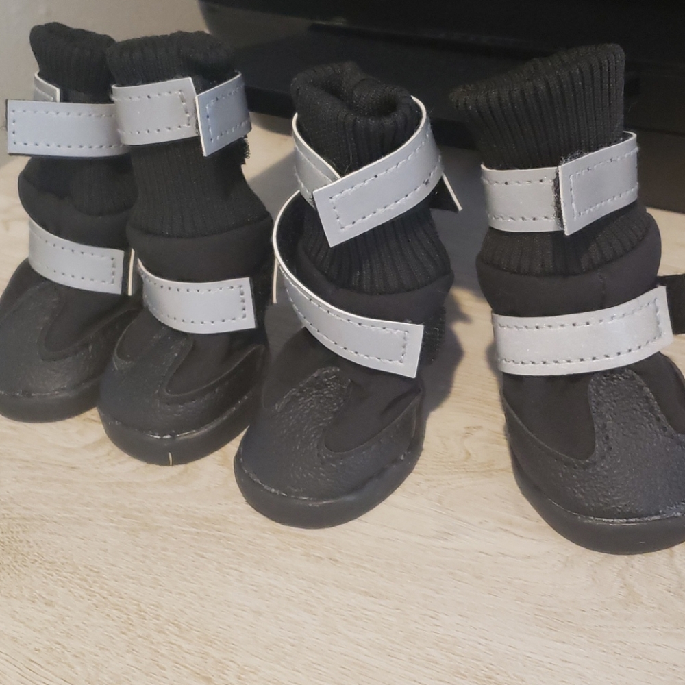 Dog all weather boots